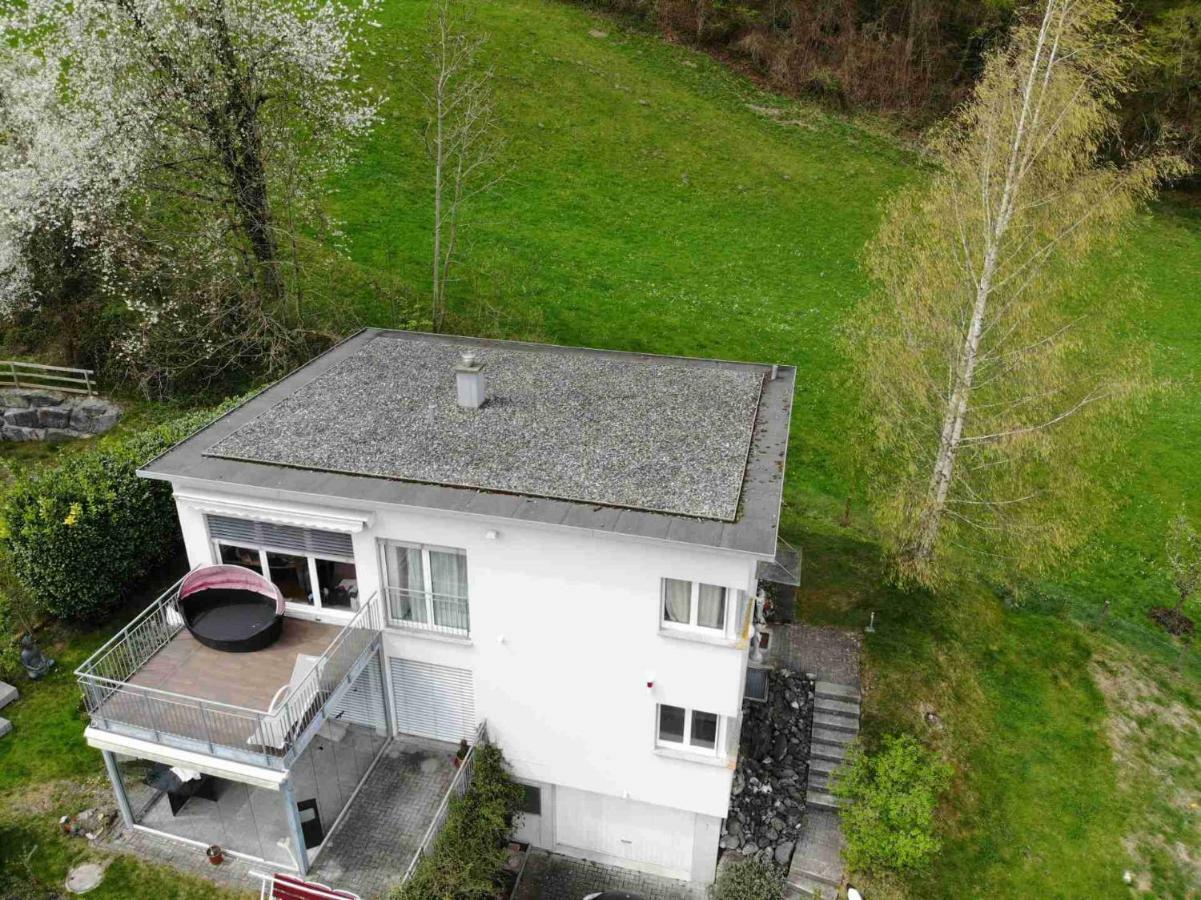 Alpen Panorama View Luxury House With Green Garden Букс Экстерьер фото